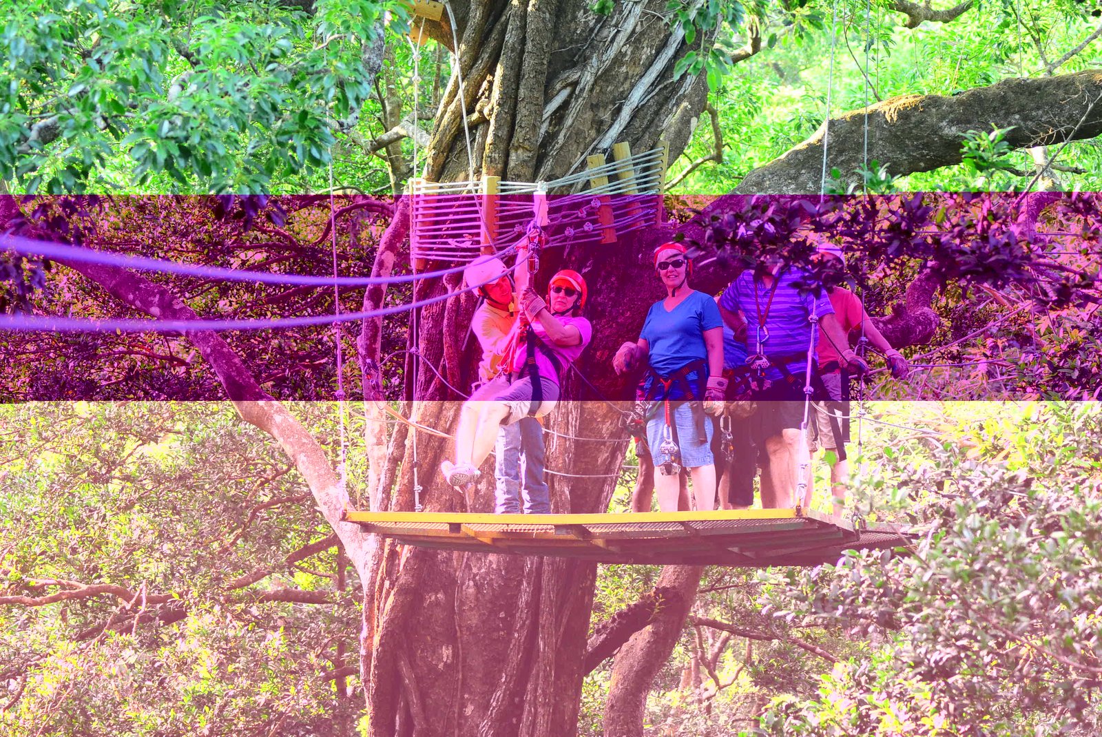 buena vista mega combo by mr wright adventure
